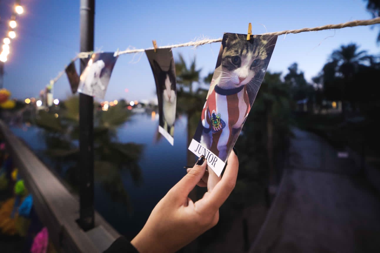 En memoria de nuestros fieles compa&ntilde;eros