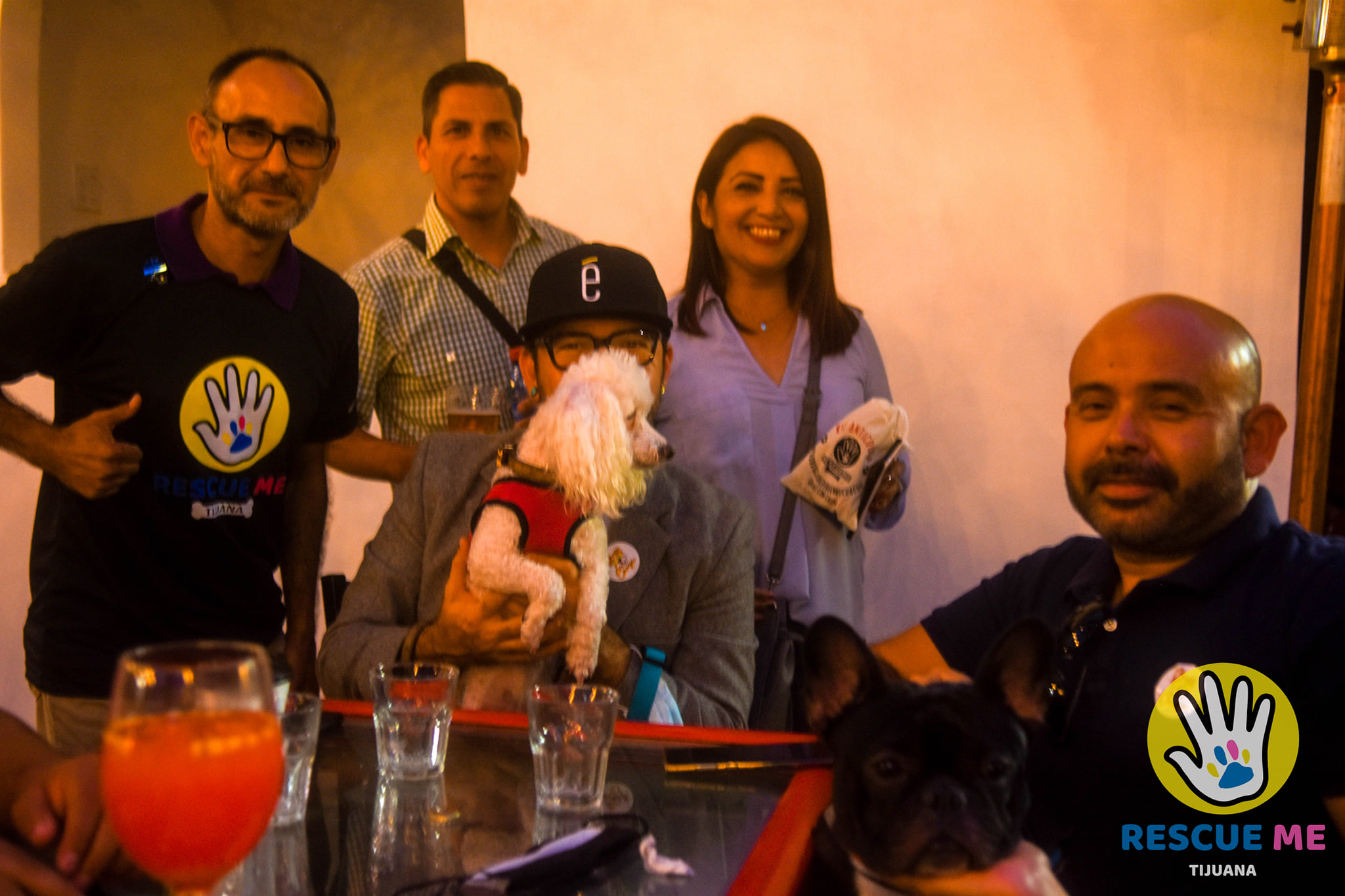 Ayuda a un animalito sin hogar con una &ldquo;Cheve&rdquo;