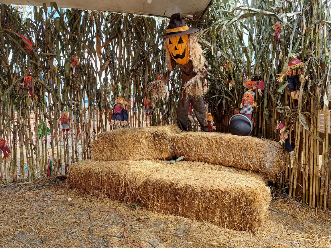 Espantap&aacute;jaros