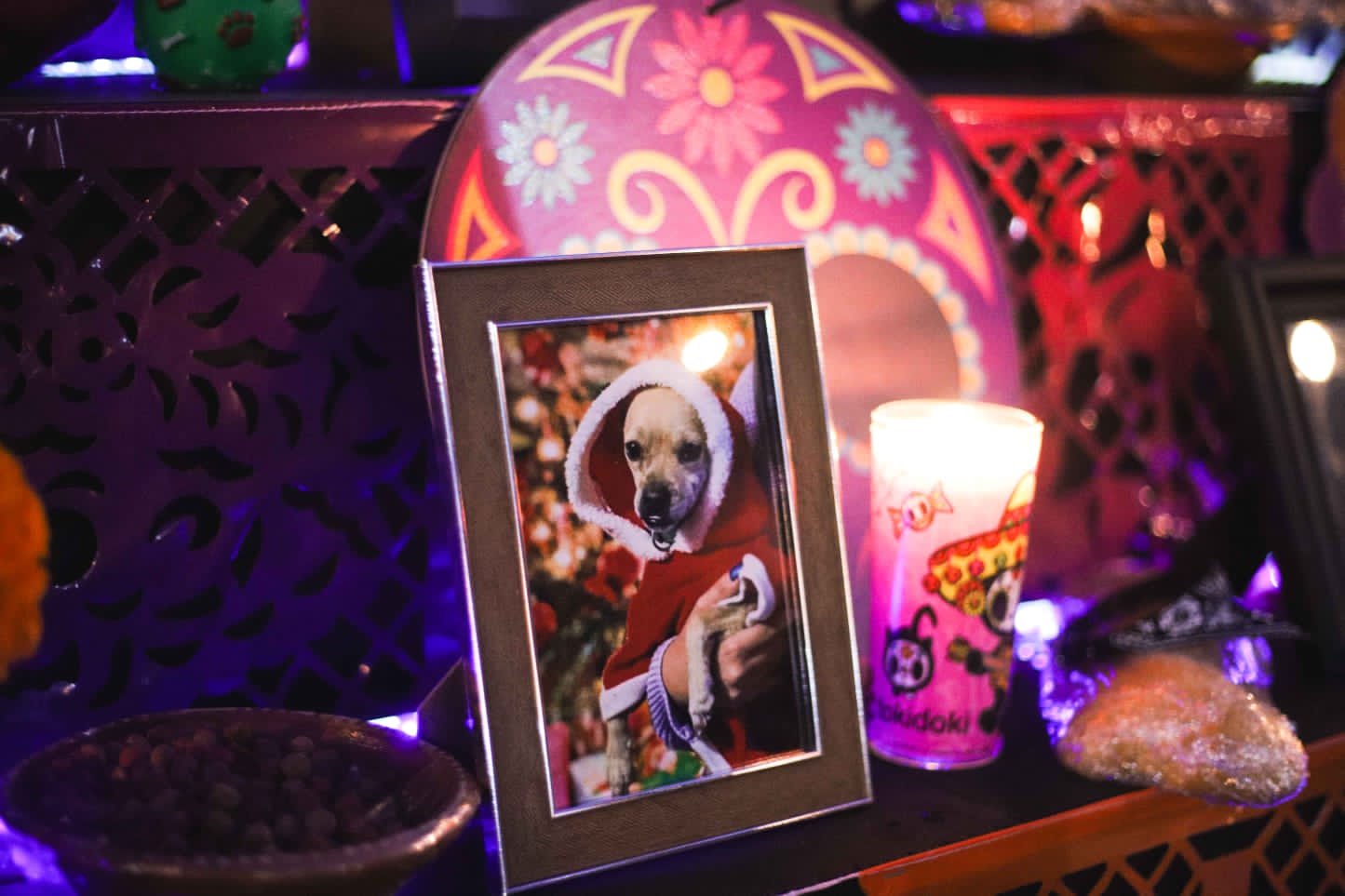 Algunas fotograf&iacute;as fueron colgadas y otras se colocaron directamente en el altar