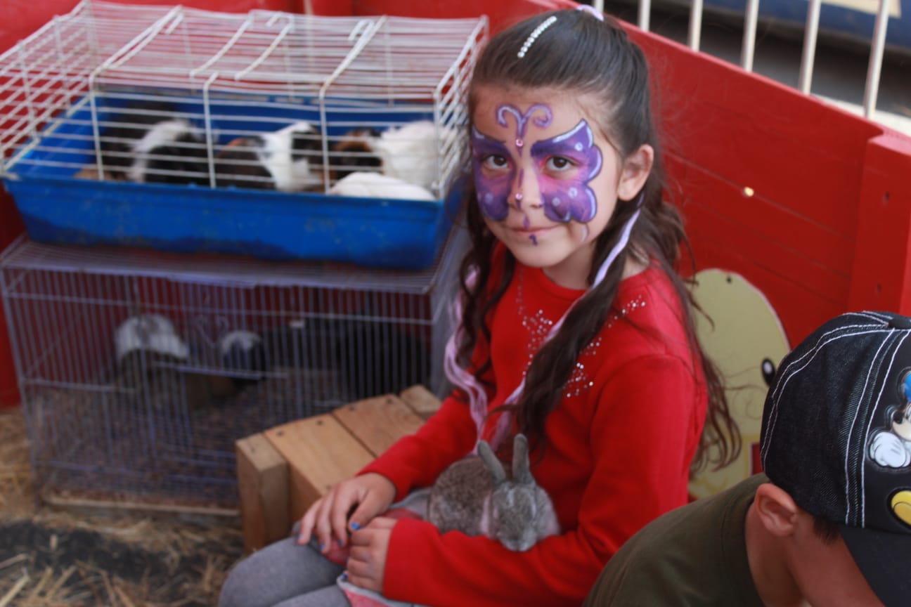 Festival del D&iacute;a del Ni&ntilde;o