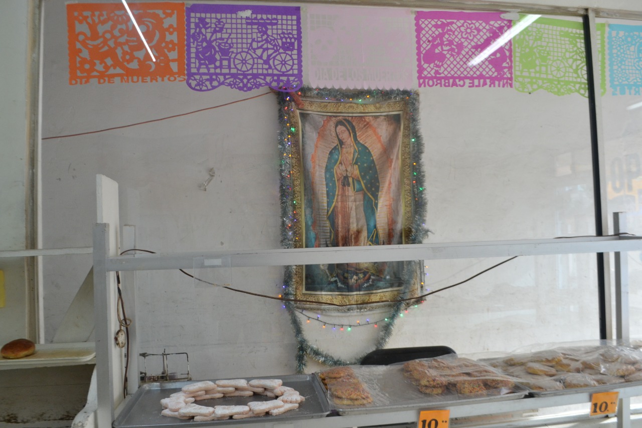 Instalaciones de &ldquo;Panificadora Rosarito&rdquo;