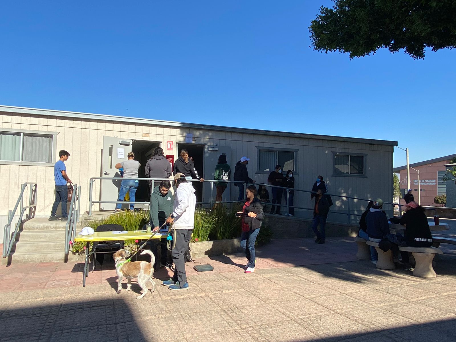 Campa&ntilde;a de esterilizaci&oacute;n en Cetys Universidad