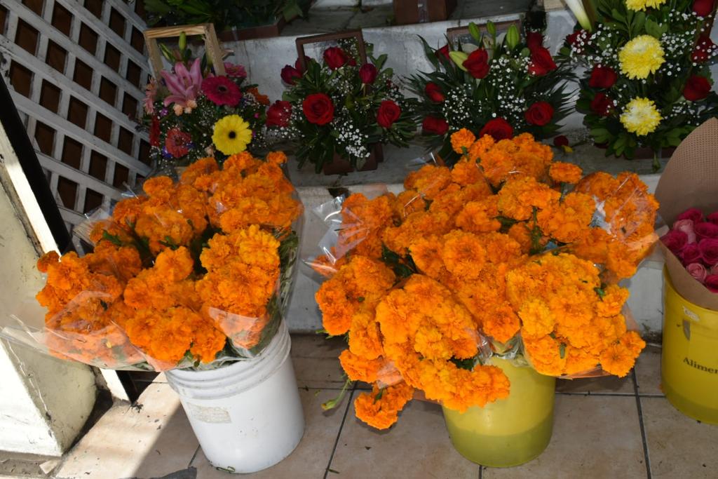 Flor de Cempas&uacute;chil