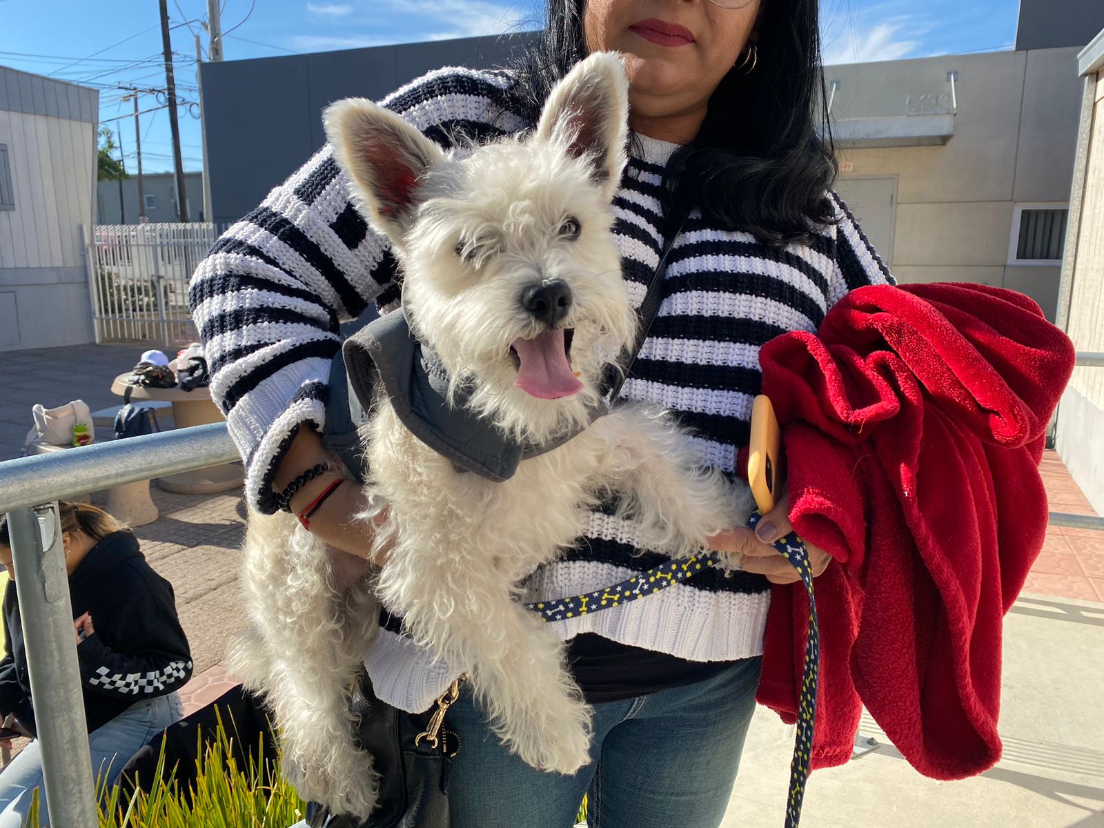 Campa&ntilde;a de esterilizaci&oacute;n en Cetys Universidad
