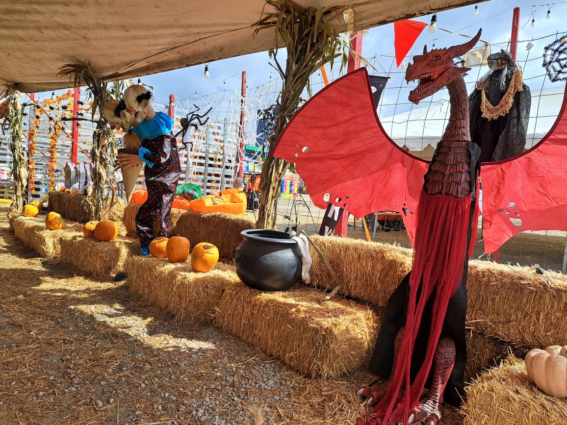 Cuenta con diferentes lugares para tomarte fotograf&iacute;as