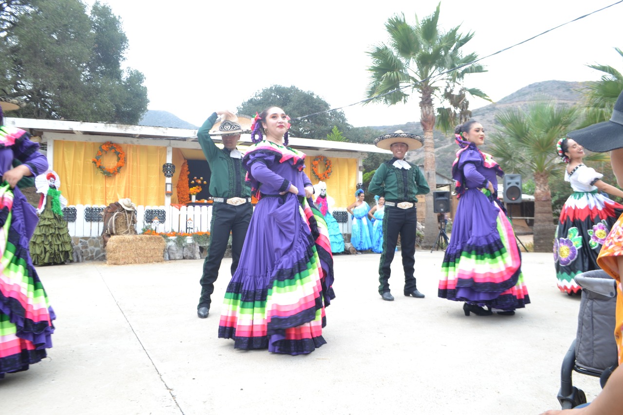 Baile folkl&oacute;rico