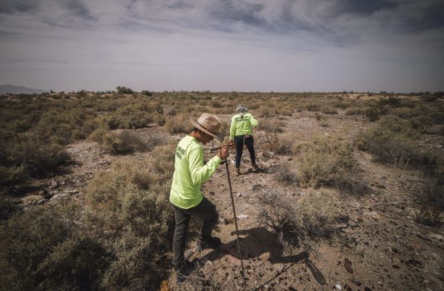 BUSQUEDA EN EL DESIERTO DE MEXICALI
