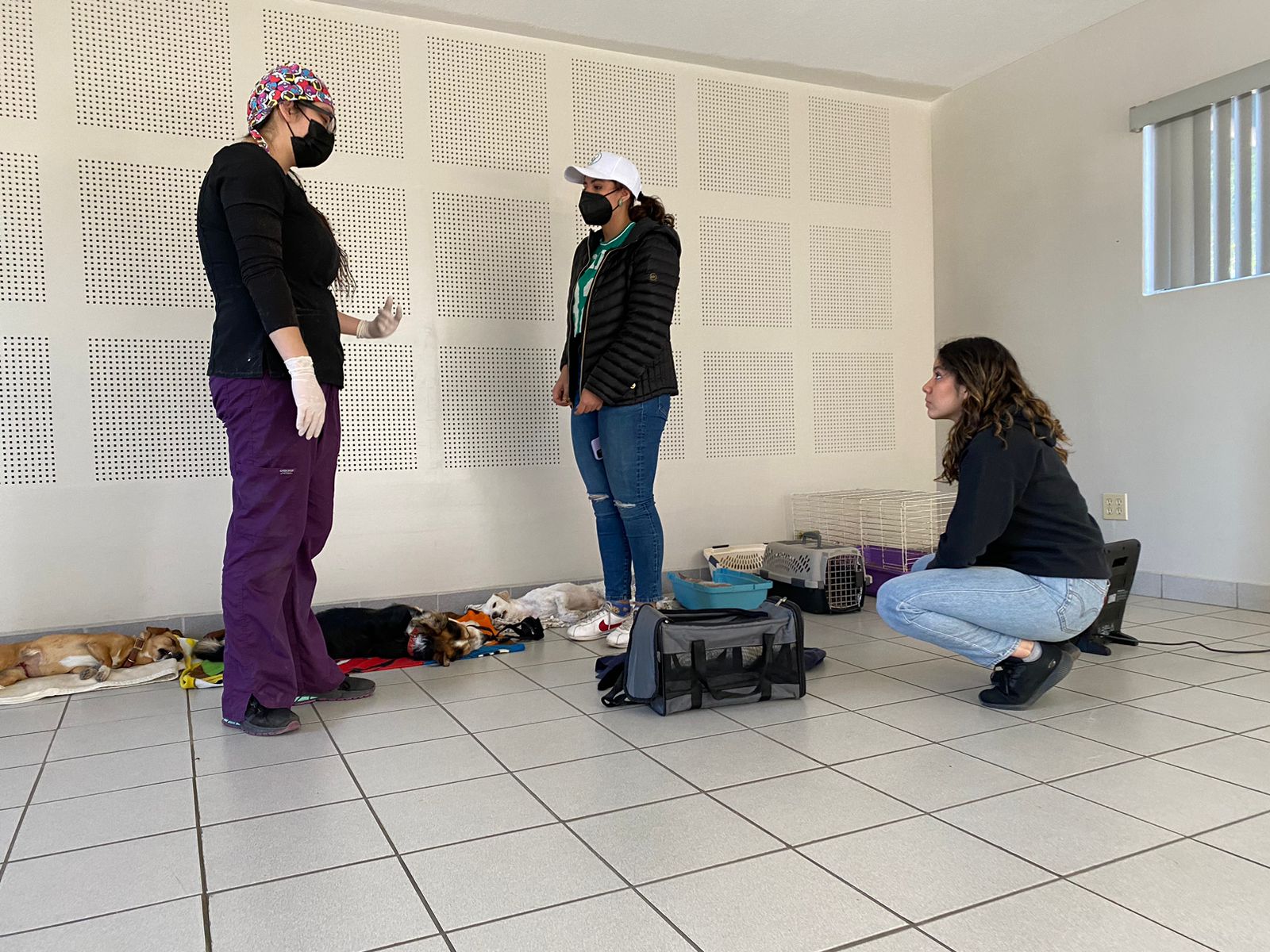 Campa&ntilde;a de esterilizaci&oacute;n en Cetys Universidad