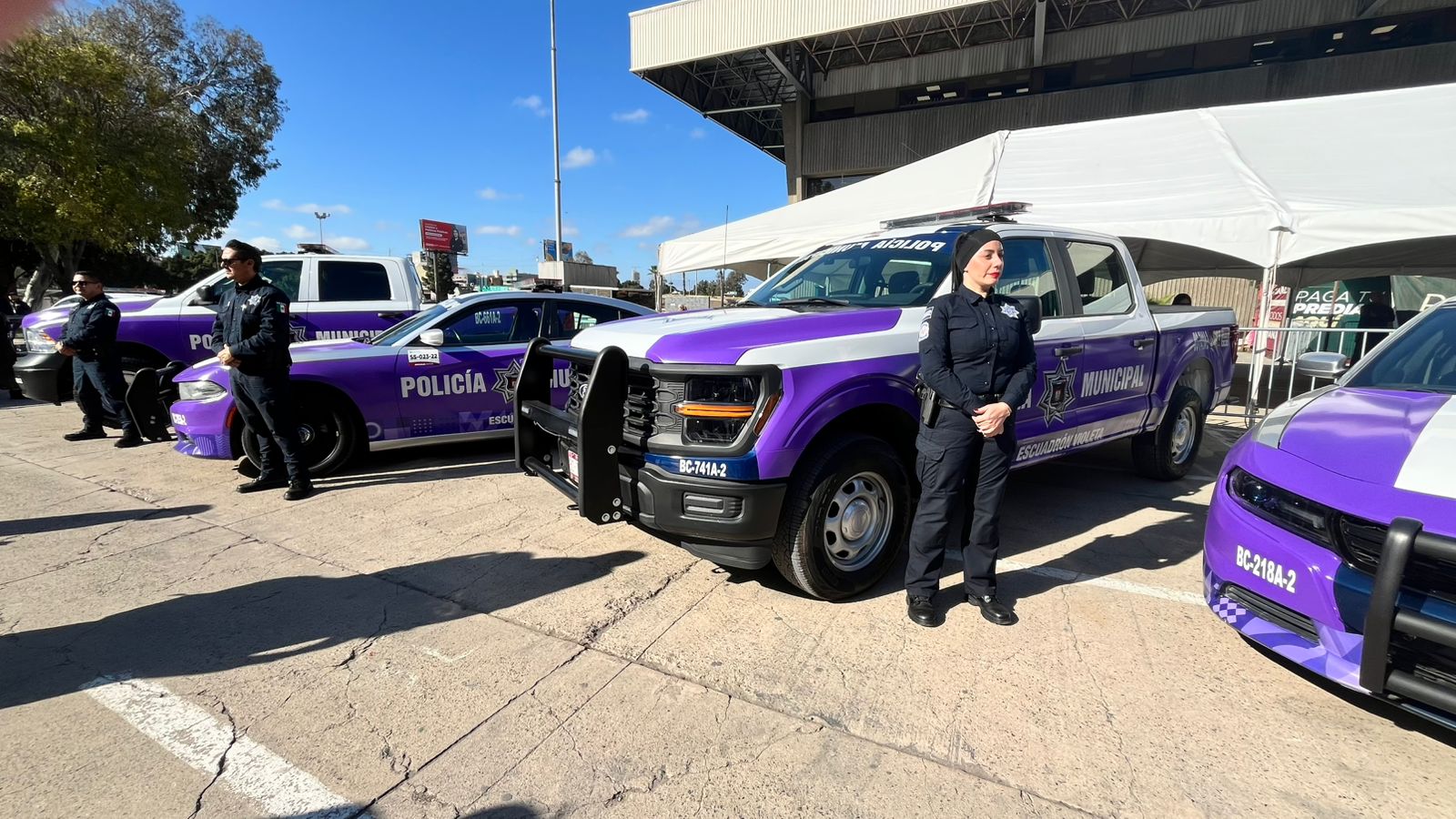 244 personas por violencia familiar con escuadr&oacute;n violeta en 2024